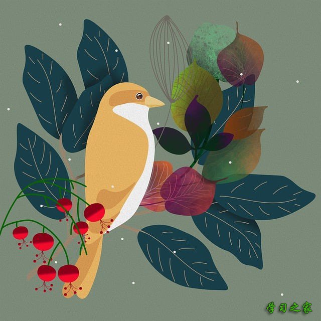 四川省汽车修理院校哪家好？