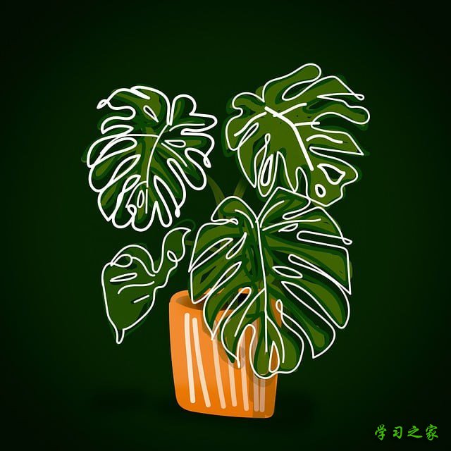 高中生弃读高校学汽修 真技术独步天下